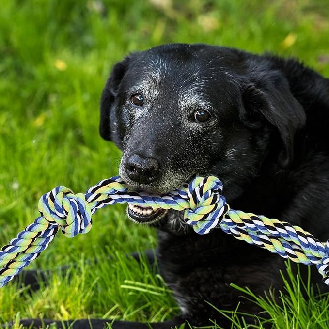 15pc Heavy Duty Dog Rope Toys Tough Tug of War Dog Toys, 100% Cotton Tug Toy for Boredom for Large/Medium/Small Dogs for Chewing, Playing, Teething, Teeth Cleaning, Tossing and Catching.
