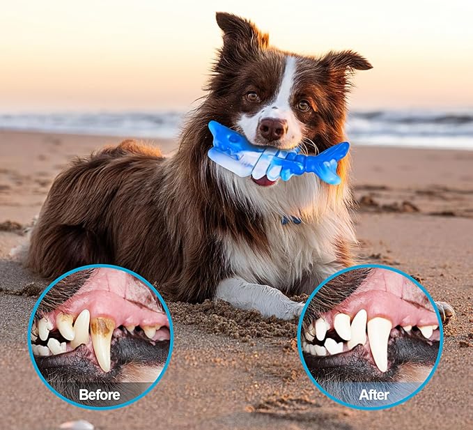 KXK Durable Dog Chew Toys for Aggressive Chewers Large Medium Small Breed, Tough Dog Toys for Large Medium Small and Puppies Teeth Cleaning, Pet Toy with Durable Nylon
