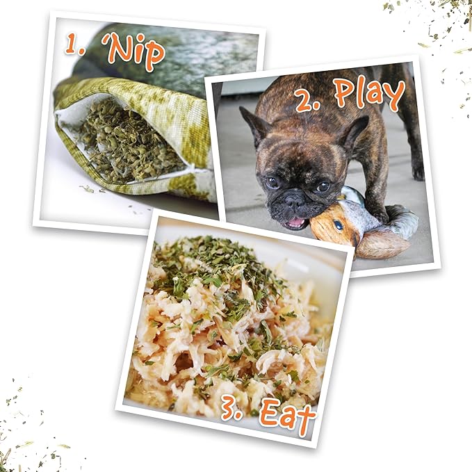 Doggijuana Refillable Juananip Toy Bundle | Squirrel Bundle | Funny Dog Toy Plush with Catnip and Refill | Calming Aid for Dogs | Interactive Chew Toy for Play