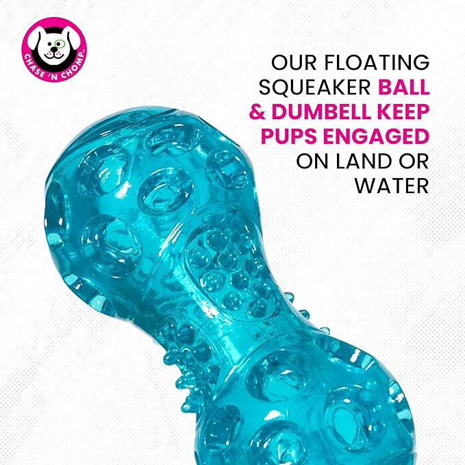 Chase 'n Chomp Squeak and Light Up Ball and Dumbbell Dog Toy, Mental & Physical Stimulation, Small, 2 Pack