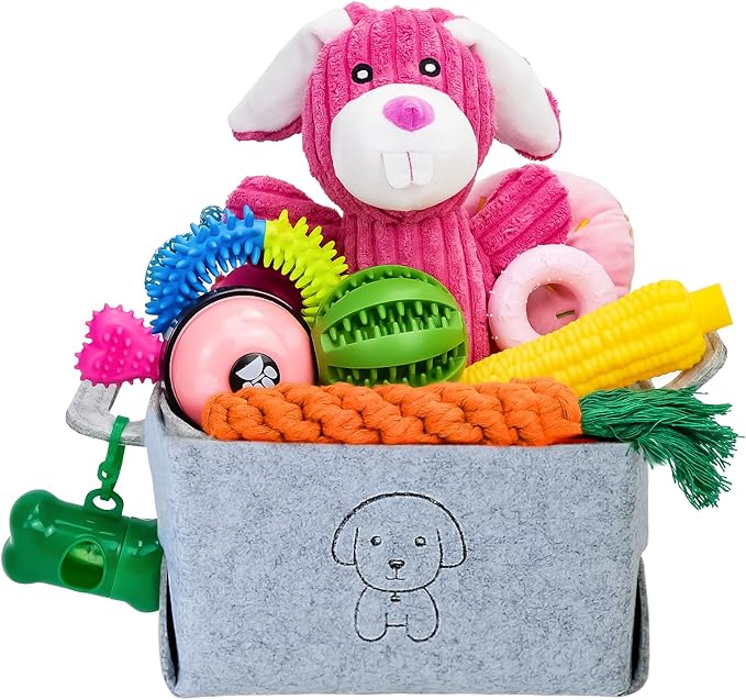 20Pcs Puppy Chew Toys for Teething, Dog Chew Rope Toys, Pet Dog Toothbrush, Treat Balls, Plush Squeaky Toy for Small Medium Dogs with Basket