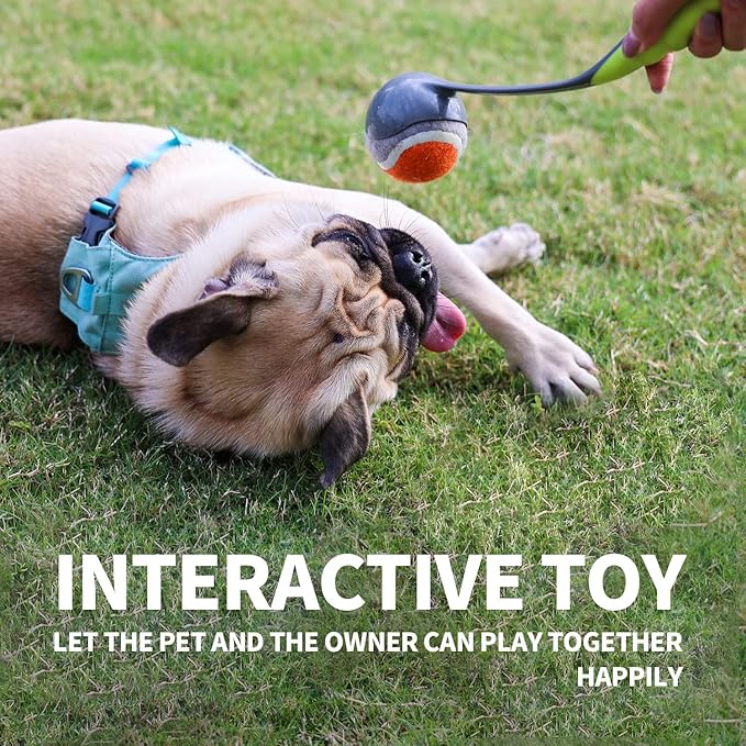 PAWISE Dog Ball Launcher - 12.2'' Dog Fetch Toy with 2.3'' Tennis, Portable Ball Thrower for Small to Medium Dogs, Indoor & Outdoor Use, Durable & Easy to Clean