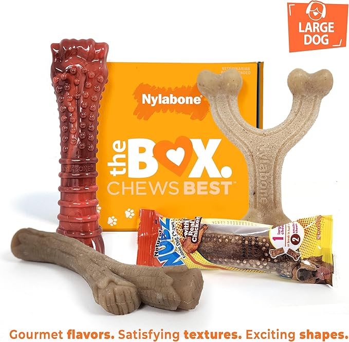 Nylabone Dog Gift Box, Includes 3 Strong Chew Toys and 1 Natural Treat, Gifts for Dogs, Large - Up to 50 lbs, 4 Pack