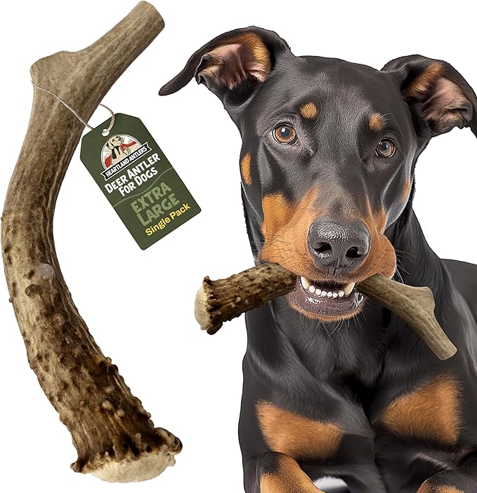 Heartland Deer Antlers for Dogs - Daily Dental Care Chews for Aggressive Chewers to Reduce Plaque & Prevent Destructive Behavior (X-Large, 8-10", 1-Pack, Grade A, USA Made)