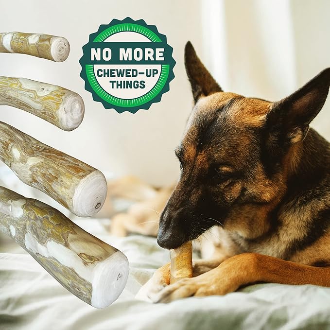 LuckyTail Wooden Stick - Coffee Tree Dog Chew Toy for Aggressive Chewers (Medium (2 Count))