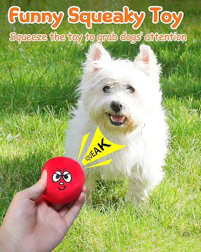 Squeaky Dog Toys, Interactive Soft Plush Puppy Toy Balls for Small Medium Breed, Cute Stuffed Pet Teething Ball Pack to Keep Dogs Busy