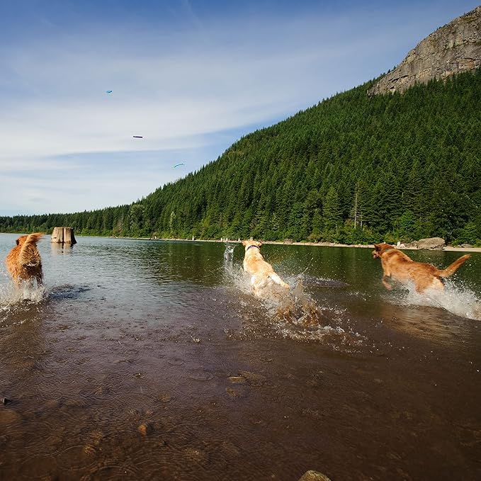 Chuckit! Paraflight Flying Disc Dog Toy - Water Floating Flyer - Durable Nylon Construction with Soft Rubber Edges - for Medium and Large Dogs - Size Large - 9.75" L x 9.75" W - Pack of 4