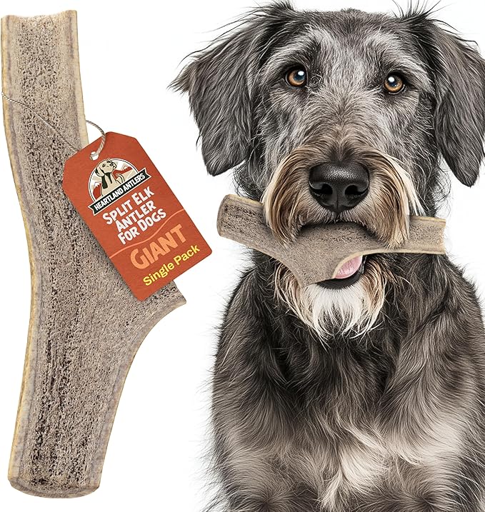 Heartland Elk Antlers for Dogs - Daily Dental Care Chews for Aggressive Chewers to Reduce Plaque & Prevent Destructive Behavior (Split, Splinter Free, 9", Giant, 1-Pack, Grade A, USA Made)
