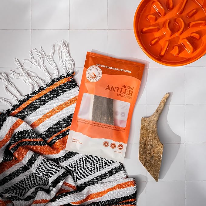 Wild-Foraged, Naturally Shed Antlers for Dogs – 100% Natural & Organic, Mess-Free Chew for Aggressive Chewers, Rich in Minerals Moose Antler, Large(1 Pack)