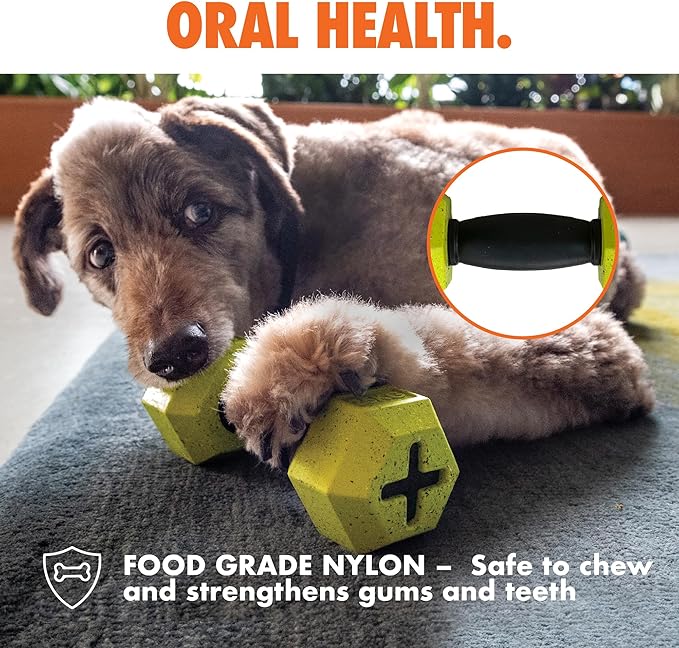 Max Fusion Made with Nike Grind, Dumbbell Dog Toy, Blue Treat Dispenser, Natural Rubber Chew Toy for Medium & Large Dog Breeds & Puppies, Dental Health, Puzzle, Reward Play, Training Toy