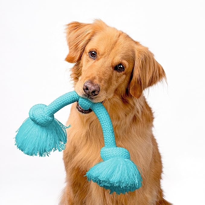 Playology Rope Toys for Dogs | Tug of War Dog Toy for Aggressive Chewers | Peanut Butter Scented Dog Toys | Jumbo Rope Toy for Interactive Play