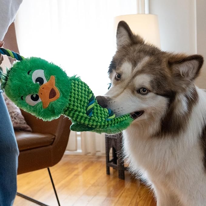 Outward Hound Ropiez Rope Interactive Dog Tug Toy for Tugging Squeaky Fun, 23.6 Inch Mallard, Green, Large