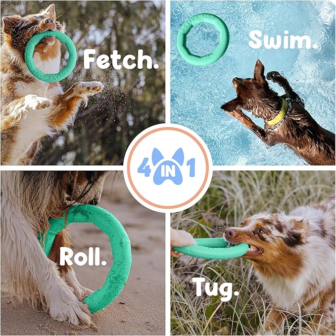 Set of 2 Active Dog Toy Rings - Floating Dog Rings for Outdoor Play, Training & Fetch - Durable Fetch Toy, Frisbee Alt, Outside Yard Toys for Large Breeds - Green