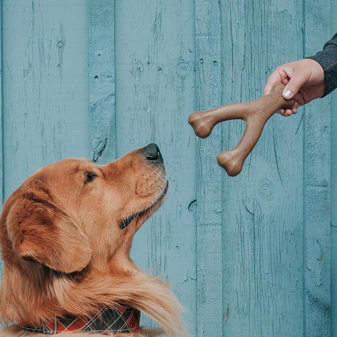 Real Bacon Medium 3-Pack Durable Dog Chew Toys for Aggressive Chewers, Made in USA – Wishbone, Zaggler, Stick