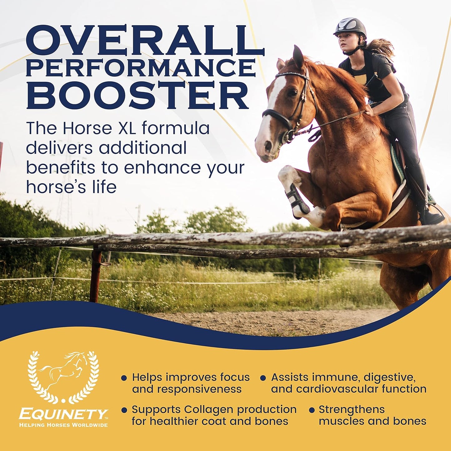 100-Day Supply Horse XL Supplements – Horse Care Weight Gain Supplement W/ 8 Amino Acids - No Soy or Sugar Coat Defense for Horses - Joint Supplement, Equine Supplies & Hoof Supplements