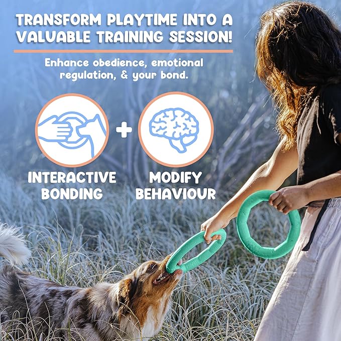 Set of 2 Active Dog Toy Rings - Floating Dog Rings for Outdoor Play, Training & Fetch - Durable Fetch Toy, Frisbee Alt, Outside Yard Toys for Medium Breeds - Green