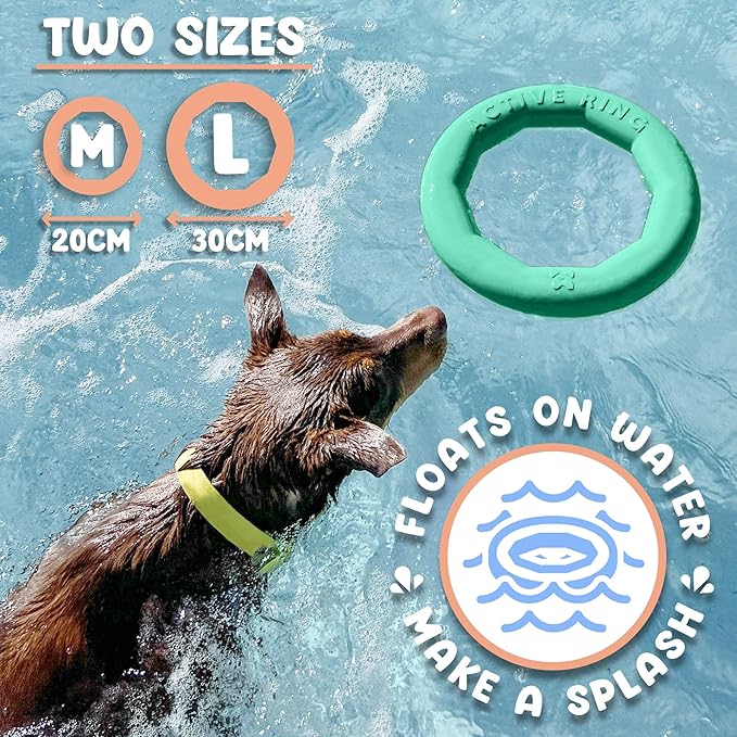 Set of 2 Active Dog Toy Rings - Floating Dog Rings for Outdoor Play, Training & Fetch - Durable Fetch Toy, Frisbee Alt, Outside Yard Toys for Medium Breeds - Green