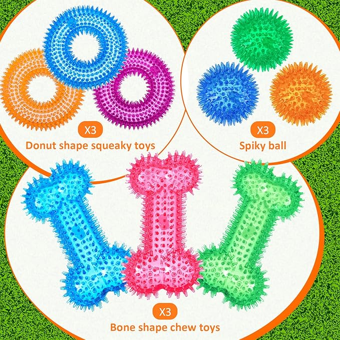 9 Pcs Dog Squeaky Toys Set, Dog Squeaky Balls Bone Shape Teething Toys Donut Shape Balls for Small Puppy Medium TPR Rubber Pet Chew for Training Fetching Teething