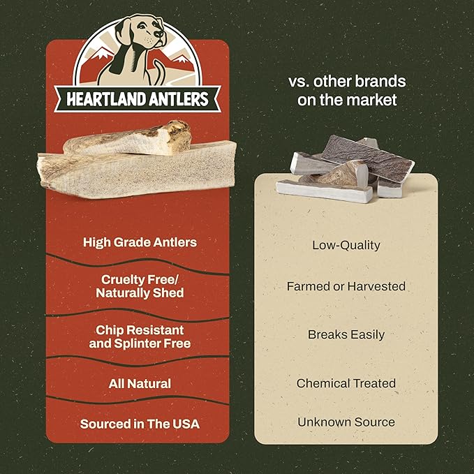 Heartland Elk Antlers for Dogs - Daily Dental Care Chews for Aggressive Chewers to Reduce Plaque & Prevent Destructive Behavior (Splinter Free, 8+", X-Large, 1-Pack, Grade A, USA Made)