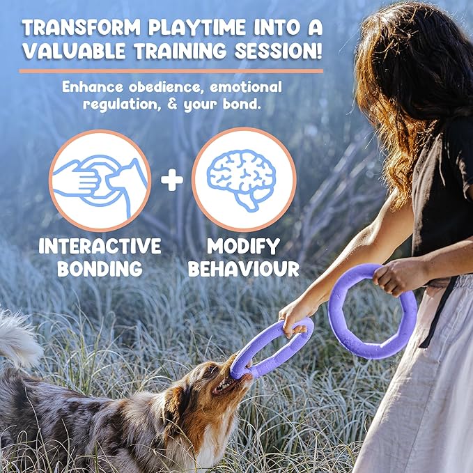 Set of 2 Active Dog Toy Rings - Floating Dog Rings for Outdoor Play, Training & Fetch - Durable Fetch Toy, Frisbee Alt, Outside Yard Toys for Large Breeds - Purple