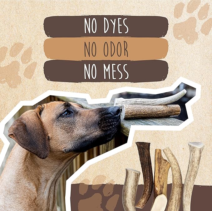 Mighty Paw Split Elk Antlers for Dogs (Sourced in The USA) | 2 Whole Medium 6"+ Long Lasting Bones for Aggressive Chewers - Naturally Shed Split Deer Antler for Dogs - Low Odor Chews (Pack of 2)