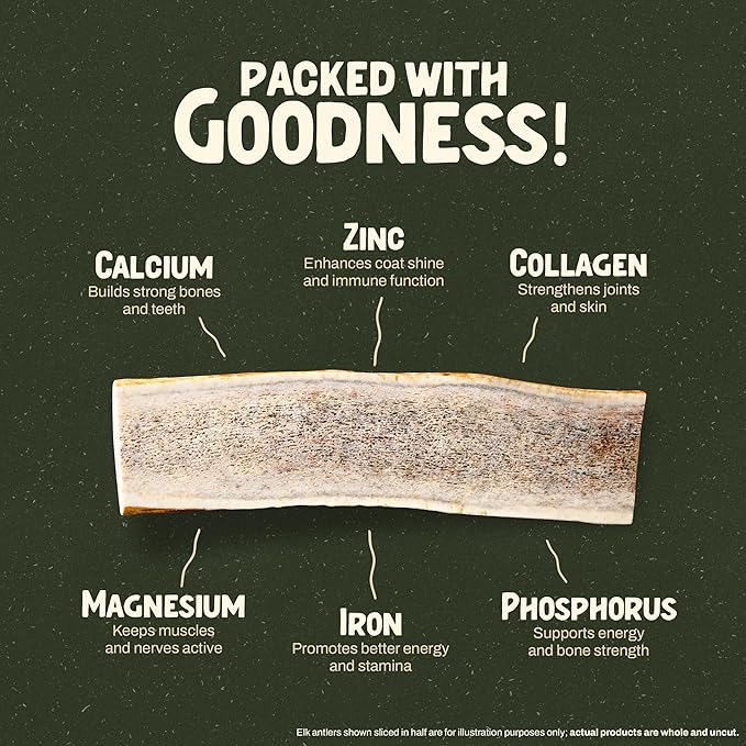 Heartland Elk Antlers for Dogs - Daily Dental Care Chews for Aggressive Chewers to Reduce Plaque & Prevent Destructive Behavior (Whole, Splinter Free, 9+", Giant, 1-Pack, Grade A, USA Made)