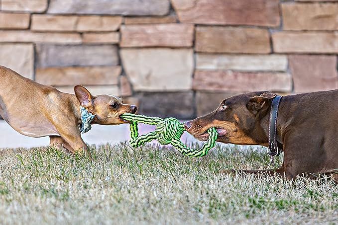 Jolly Pets Knot-N-Chew Large/X Large Gentle Tugger Rope Dog Toy