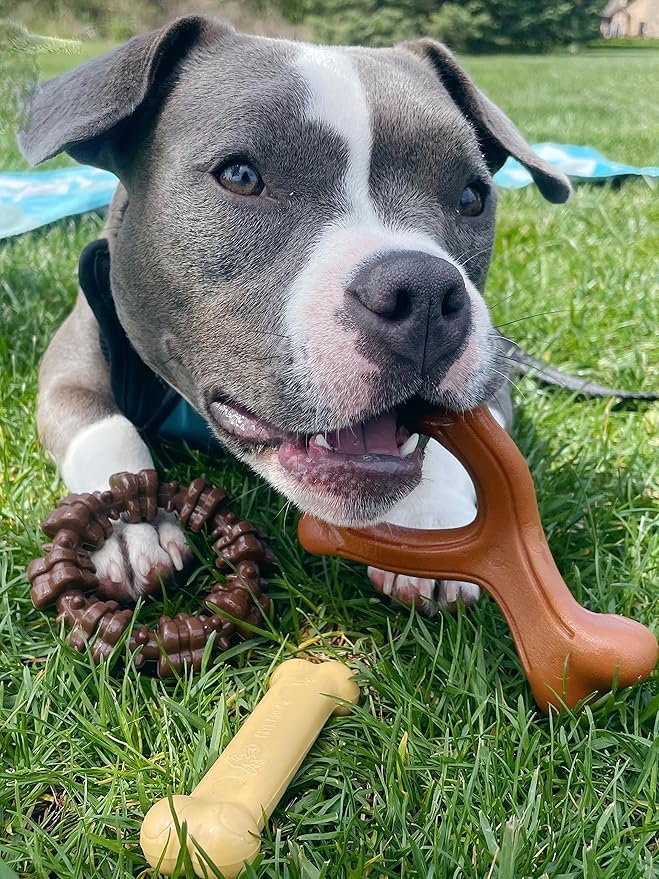 Nylabone Customer Favorites Power Chew Toy Bundle for Dogs, Indestructible Dog Toys for Aggressive Chewers, Pack of 3 Dog Toys, Flavor Medley, Small Dogs - Up to 25 lbs, 3 Pack