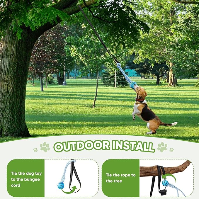 Dog Bungee Toy,Interactive Dog Tug of War Toys Set with Tether, Rope and Ball, Tree Hanging Toy with 2 Chew Ropes,Indoor Spring Pole Ropes,for Small/Medium Dogs