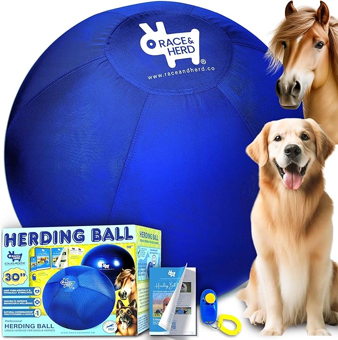 Race&Herd 30" Original XXL Herding Ball for Dogs - Giant Herding Dog Ball Australian Shepherds, Herding Toys, Dog Training Toy for Large Breeds, Dog Toy for Outdoor Play (for Large Dogs/Horses, Blue)