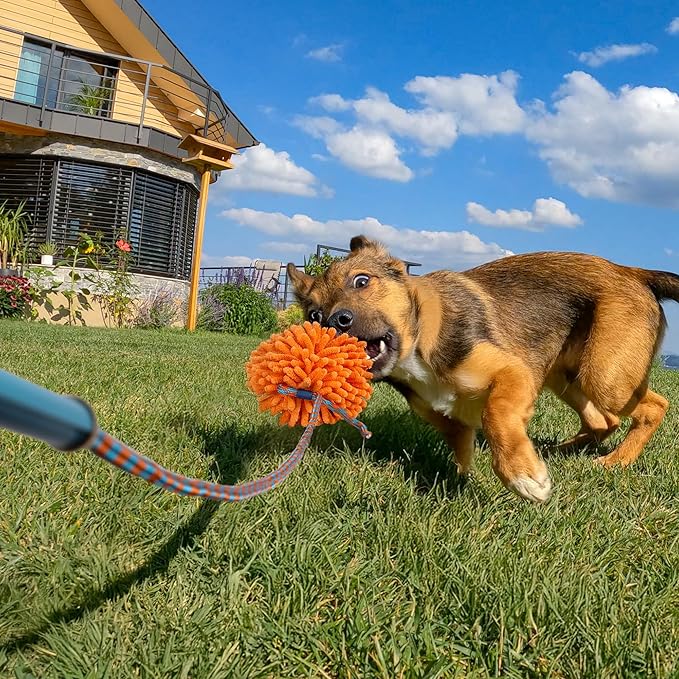 ALL FOR PAWS Interactive Flirt Pole Toy for Dogs Training & Exercise – Durable Teaser Wand with Luring Rope, Tug of War Chase Toy for Small to Medium Dogs