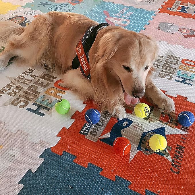 Squeaky Tennis Balls for Dogs - Bulk 50 Pack 2.5'' Durable Non-Toxic Outdoor Dog Toys Balls with Mesh Bag, SGS Certified, Colorful Fetch Toys, Medium Large Breeds