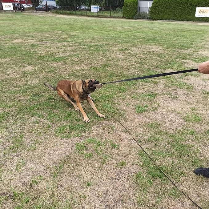 Dingo Tug Toys for Dog, Faux Fur Handle Bungee Agility Motivation Reward Z30021