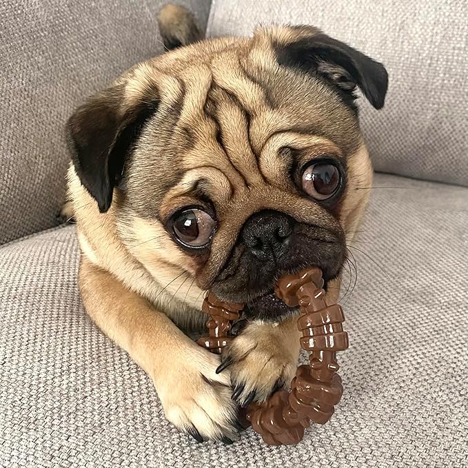 Nylabone Customer Favorites Power Chew Toy Bundle for Dogs, Indestructible Dog Toys for Aggressive Chewers, Pack of 3 Dog Toys, Flavor Medley, Small Dogs - Up to 25 lbs, 3 Pack