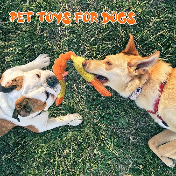 TwoEar Duck Dog Toy Dog Squeaky Toys with Crinkle Paper, Interactive Dog Toys to Keep Them Busy, Stuffed Pet Toys for Dogs, Tug of War Dog Toy for Puppies, Small, Medium, and Large Dogs