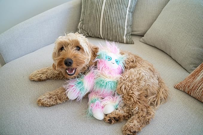 Flourish Pets 3 in 1 Multi-Layer Chew Toy for Active Dogs | Non-Toxic BPA Free Double Stitched Soft Fabric Exterior Dog Toys | Long-Lasting Dog Plush Toys –Sloth Small 3.5"