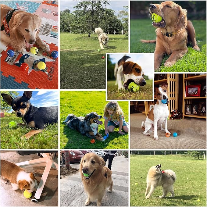 Tennis Balls for Dogs - 12 Pack 2.0'' Durable Non-Toxic Outdoor Dog Toys Balls with Mesh Bag, SGS Certified, Colorful Fetch Toys, Small Breeds (Non Squeaky)