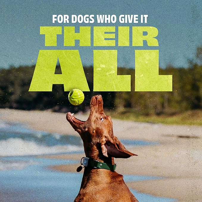 Benebone 4-Pack Rubber Ball