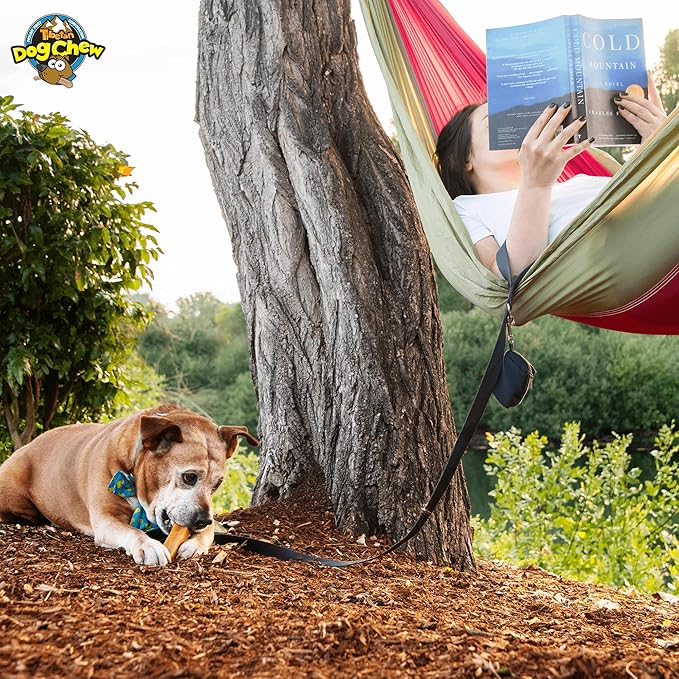 Tibetan Dog Chew Yak Cheese Sticks - Natural Treats for Small to Large Dogs, Lasting, Digestible, Promotes Dental Health, Rawhide and Grain-Free, Ideal for Aggressive Chewers, 10-Pack