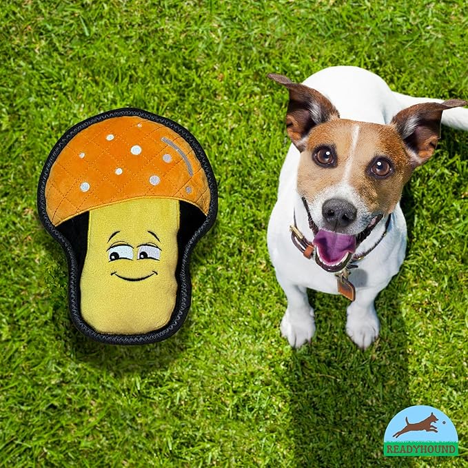 Durable Mushroom Squeaky Dog Toy for Aggressive Chewers, Tough Aggressive Dog Chew Toy, Chew Dog Toy for Puppy, Small, Medium, and Large Dogs