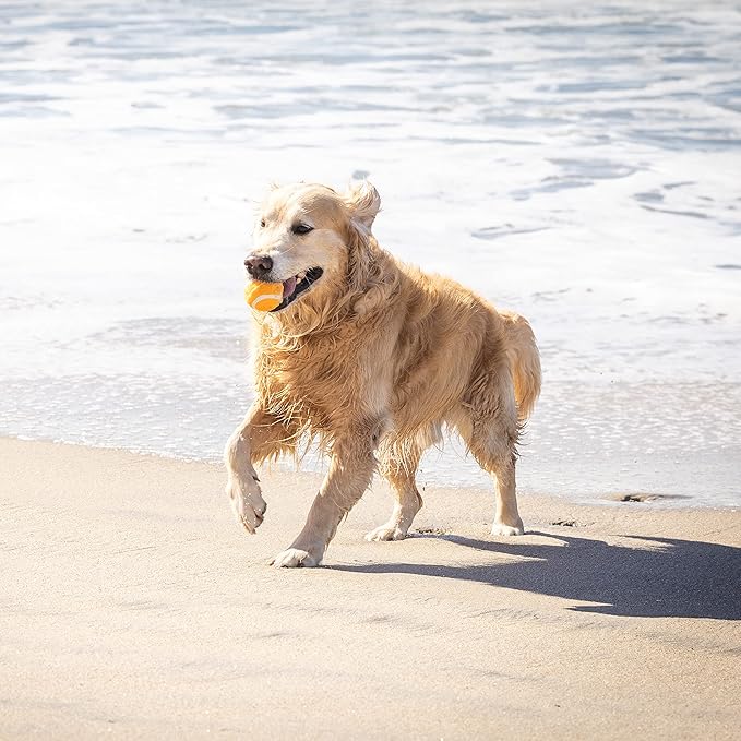 Hyper Pet Tennis Balls for Dogs (Safe Ball for Exercise and Training) Interactive Dog Toys work with Hyper Pet K9 Kannon K2 Dog Ball Launcher - 4 Pack 2.5" Orange