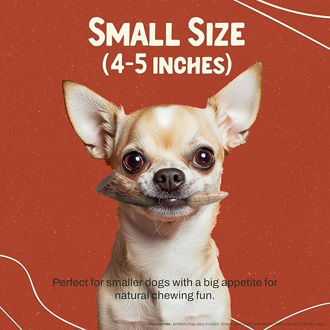 Heartland Deer Antlers for Dogs - Daily Dental Care Chews for Aggressive Chewers to Reduce Plaque & Prevent Destructive Behavior (Splinter Free Small: 4–5", 5-Pack, Grade A, USA Made)