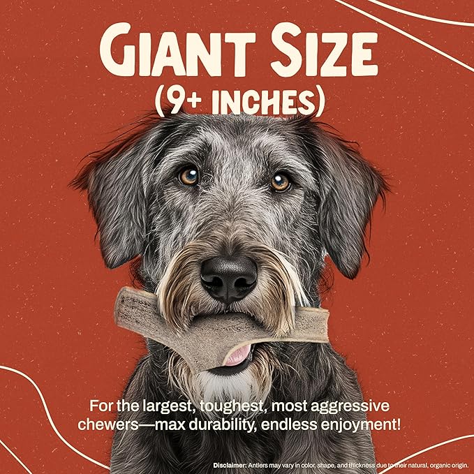 Heartland Elk Antlers for Dogs - Daily Dental Care Chews for Aggressive Chewers to Reduce Plaque & Prevent Destructive Behavior (Split, Splinter Free, 9", Giant, 1-Pack, Grade A, USA Made)