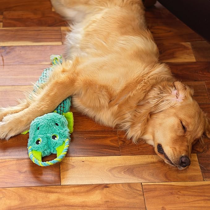 Outward Hound Ropiez Rope Interactive Dog Tug Toy for Tugging Squeaky Fun, 21 Inch Dragon, Blue, Medium