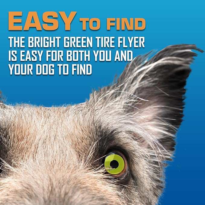 Nerf Dog Atomic Flyer Outdoor Dog Toy, 10 Inch Flying Disc Dog Fetch Toy, Rubber Dog Toy for Medium Dogs and Large Dogs, Green