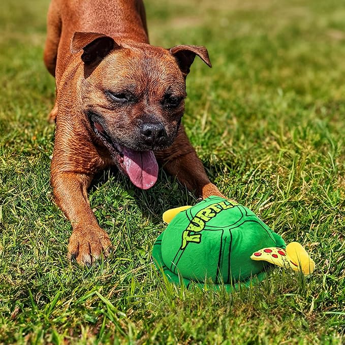 design LAB, Inc. Teenage Mutant Ninja Turtle Official Merchandise | TMNT Toys | Nesting Plush Dog Toy | Turtle Shell with Pepperoni Pup Pizza| Great for Interactive Play