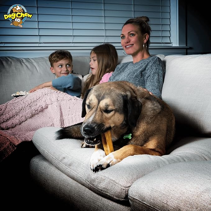 Tibetan Dog Chew Yak Cheese Sticks - Natural Treats for Small to Large Dogs, Lasting, Digestible, Promotes Dental Health, Rawhide and Grain-Free, Ideal for Aggressive Chewers, 10-Pack