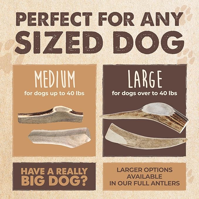 Mighty Paw Naturals Split Elk Antler for Dogs | USA Sourced, Long Lasting Chew for Aggressive Chewers – Low Odor, Natural Alternative to Dog Toys