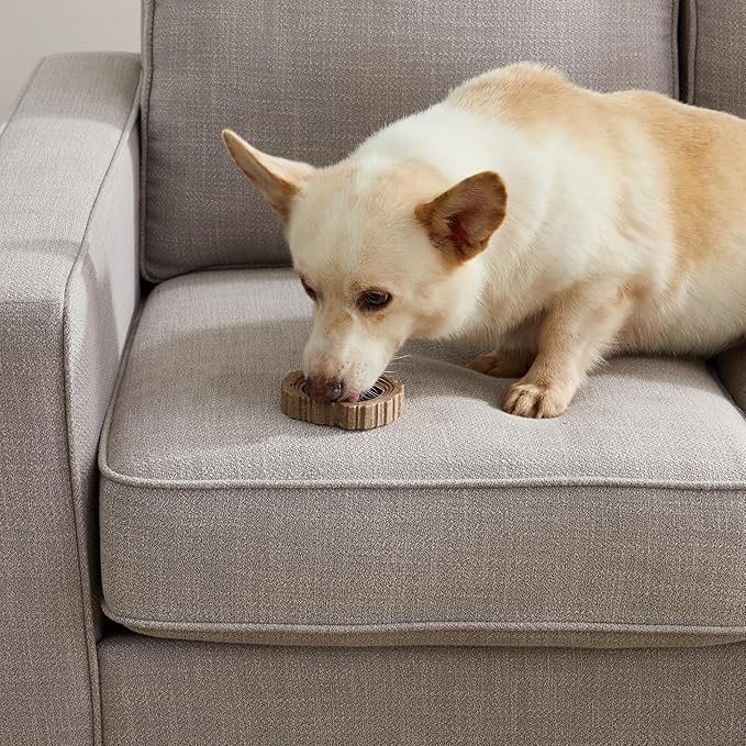 Petstages Dogwood Ring Dog Chew Toy, Small