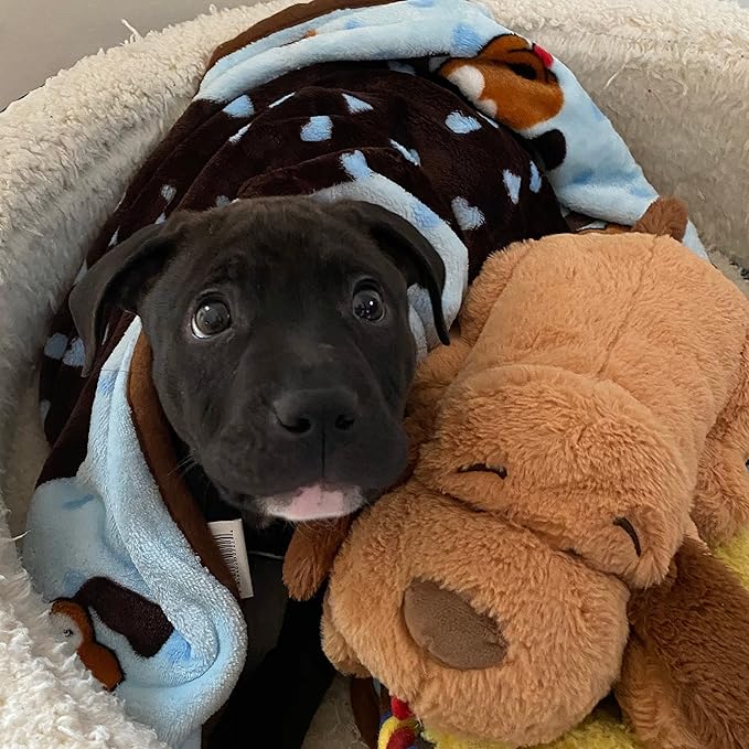 SmartPetLove Snuggle Puppy Blanket for Pets - Cozy Dog Blanket for Small Dogs - Machine Washable Dog Blanket in Blue